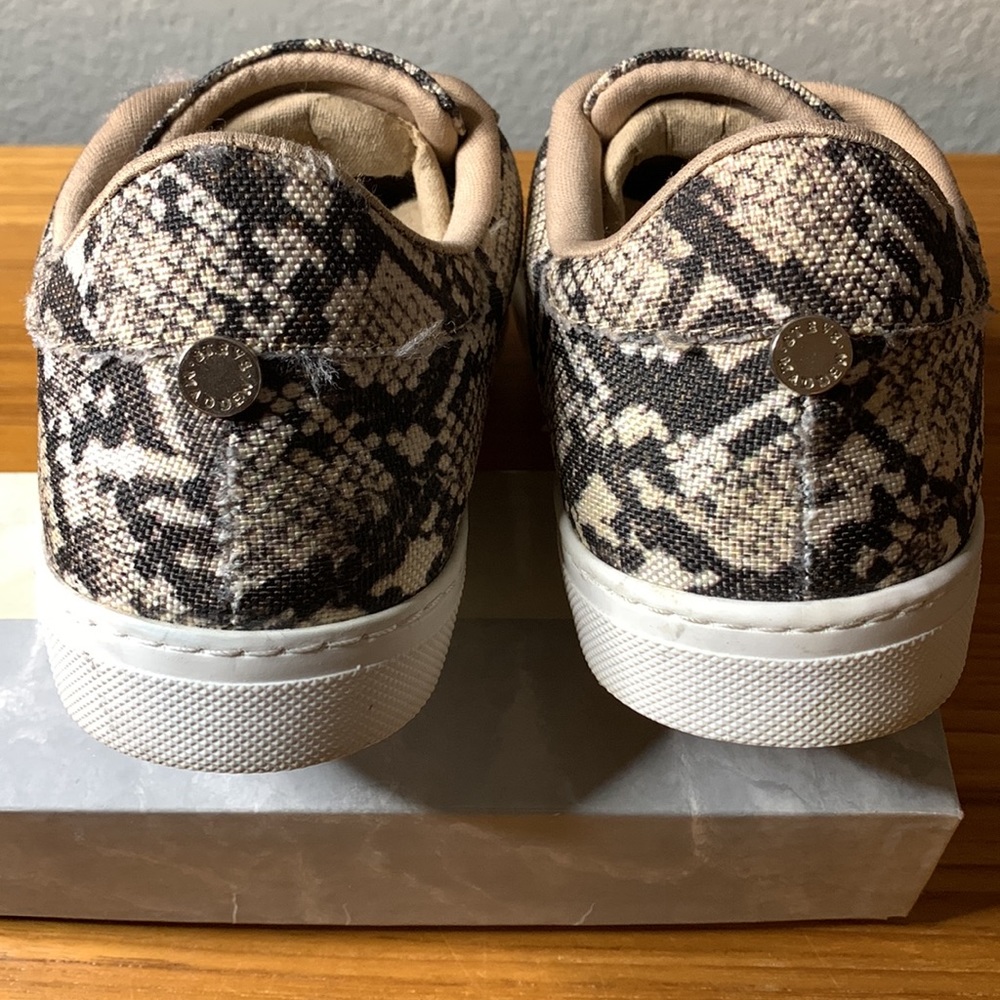 Steve Madden Snake Print sneaker BRAND NEW! - Picture 5 of 5